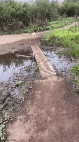 Acid GIFs, June 20 (25 gifs)