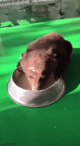 Acid GIFs, June 21 (25 gifs)