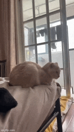 Acid GIFs, June 21 (25 gifs)
