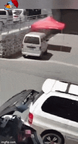 Acid GIFs, June 21 (25 gifs)