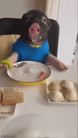 Acid GIFs, June 21 (25 gifs)