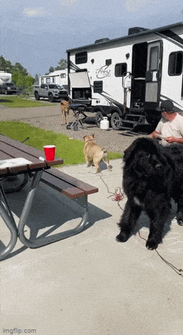 Acid GIFs, June 21 (25 gifs)