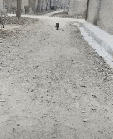 Acid GIFs, June 22 (25 gifs)