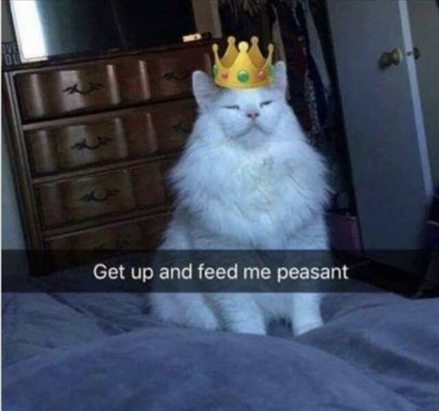 Daily Pictures. Part 2 (75 pics)
