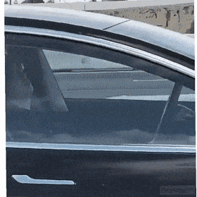 Acid GIFs, June 23 (25 gifs)