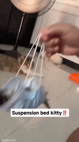 Acid GIFs, June 23 (25 gifs)