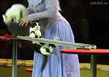 Acid GIFs, June 23 (25 gifs)