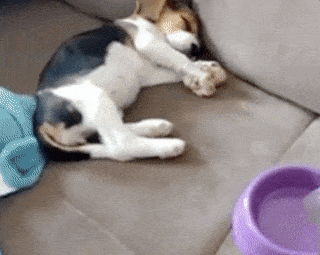 Acid GIFs, June 23 (25 gifs)