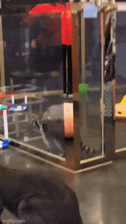 Acid GIFs, June 23 (25 gifs)