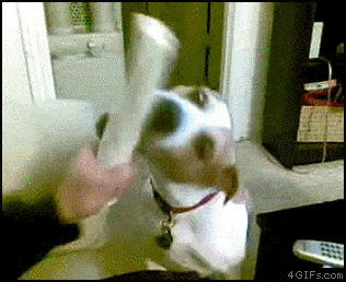 Acid GIFs, June 23 (25 gifs)