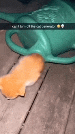 Acid GIFs, June 23 (25 gifs)