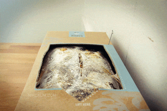 Acid GIFs, June 23 (25 gifs)