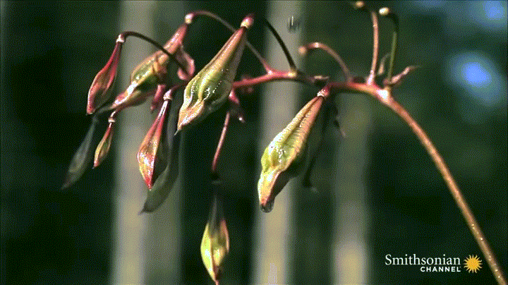 Acid GIFs, June 23 (25 gifs)