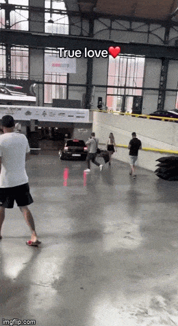 Acid GIFs, June 27 (25 gifs)