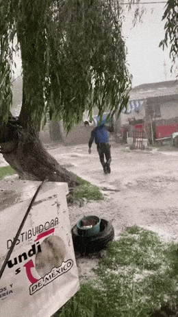 Acid GIFs, June 27 (25 gifs)