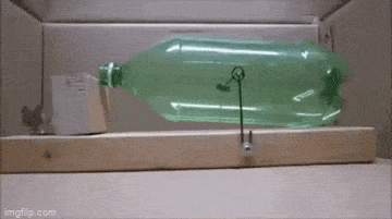 Acid GIFs, June 27 (25 gifs)