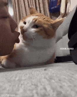 Acid GIFs, June 27 (25 gifs)