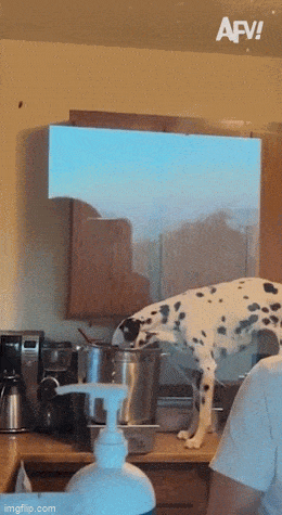 Acid GIFs, June 27 (25 gifs)
