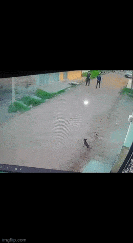 Acid GIFs, June 29 (25 gifs)