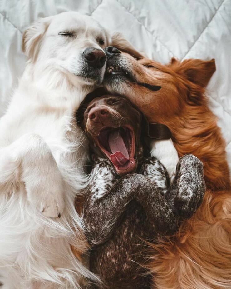 Daily Pictures. Part 1 (72 pics)