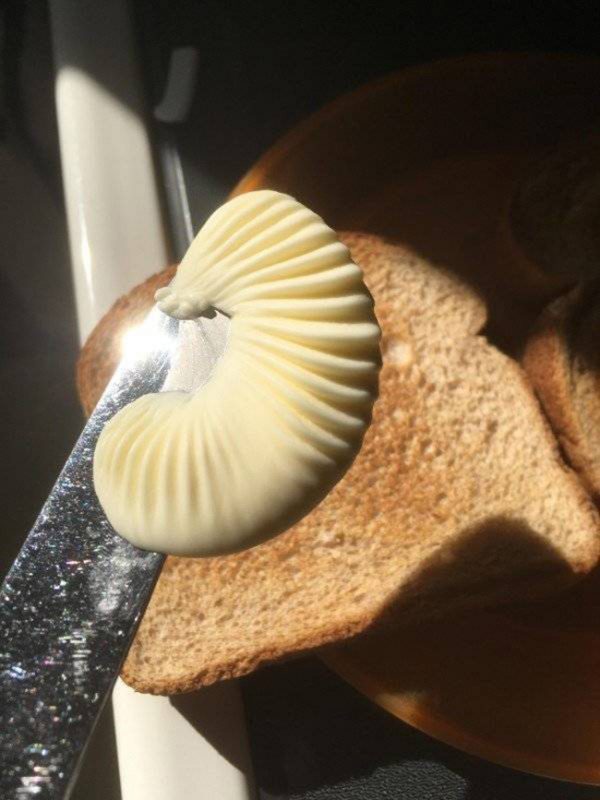 Photos For Perfectionists (20 pics)