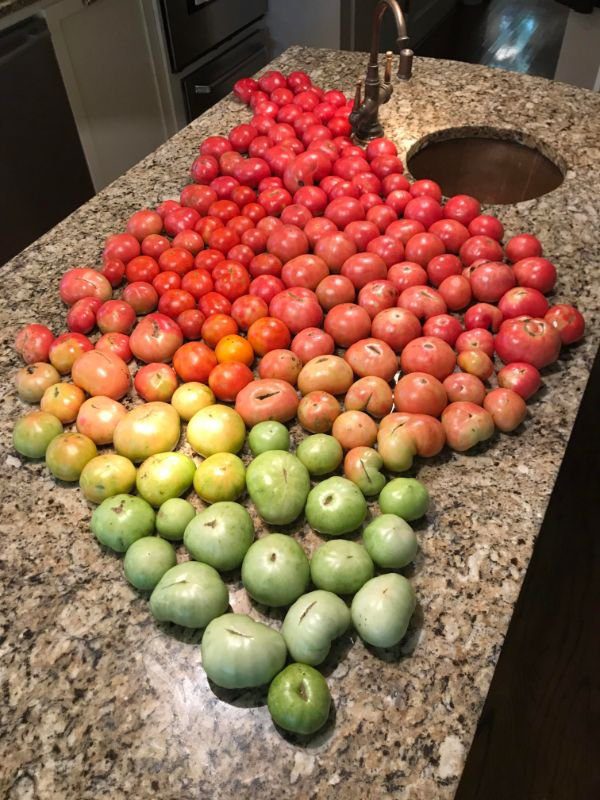Photos For Perfectionists (20 pics)