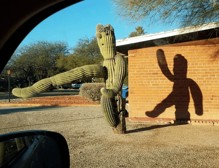 Interesting Optical Illusions (22 pics)