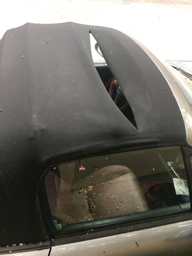 Bad Days Happen (20 pics)