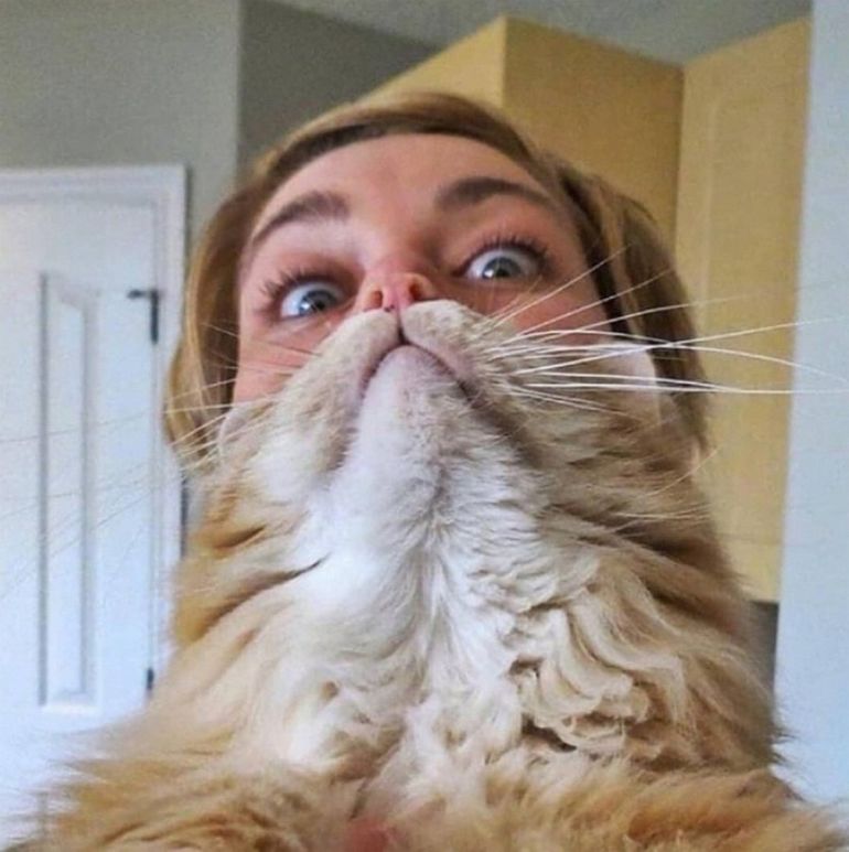 Funny Photoshop (32 pics)