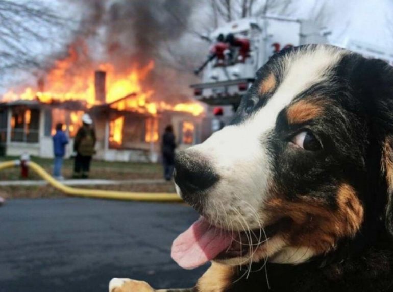 Funny Photoshop (32 pics)