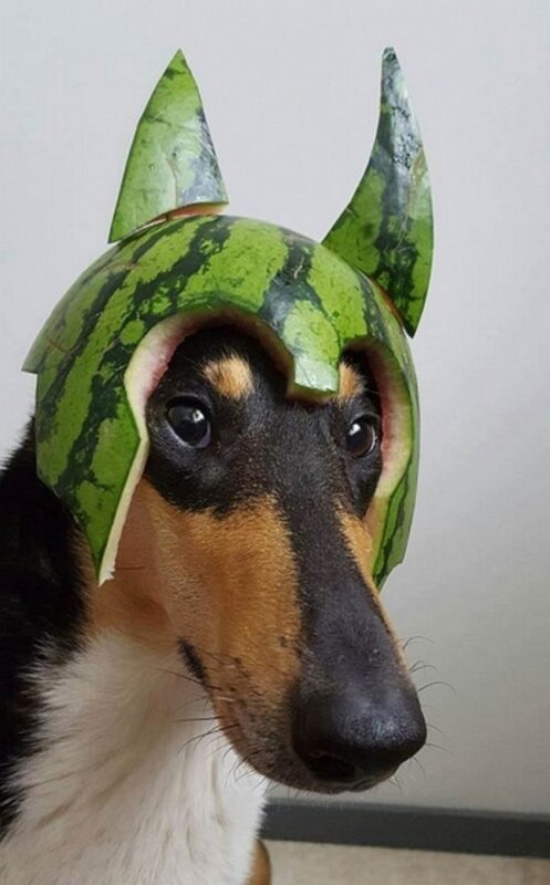 Funny Photoshop (32 pics)