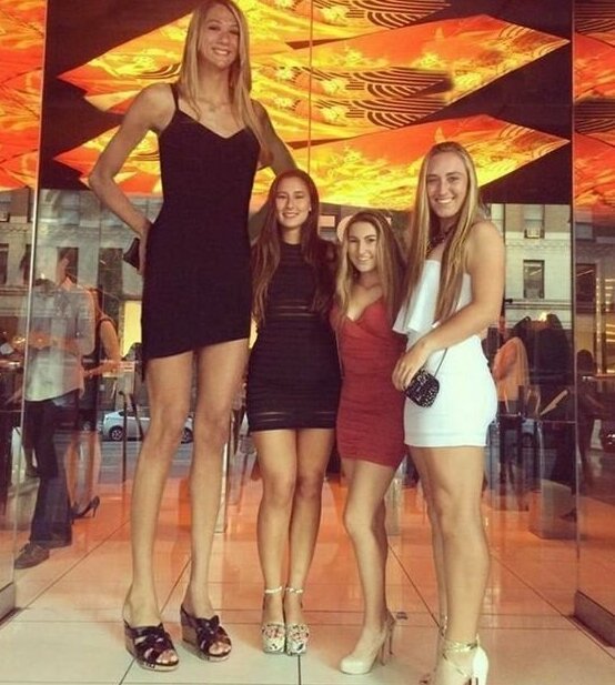 Very Tall Girls (19 pics)