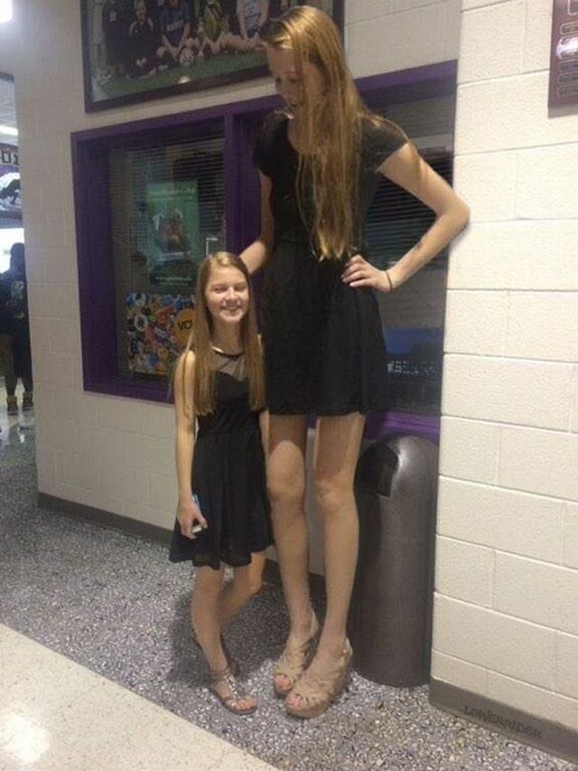 Very Tall Girls (19 pics)