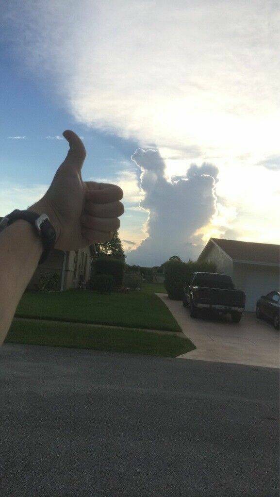 Daily Pictures. Part 1 (75 pics)