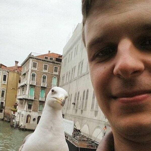 Daily Pictures. Part 1 (75 pics)