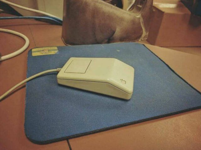 Funny Situations On The Workplace (24 pics)