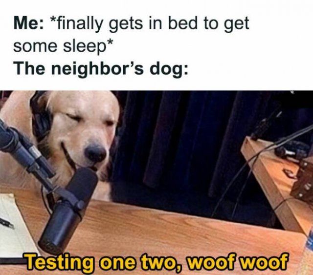 Truthful Memes (24 pics)