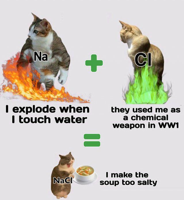 Science Memes (25 pics)