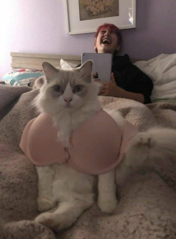 Daily Pictures. Part 1 (77 pics)