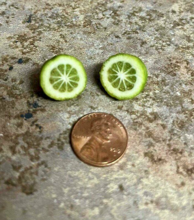Failed Harvest (25 pics)