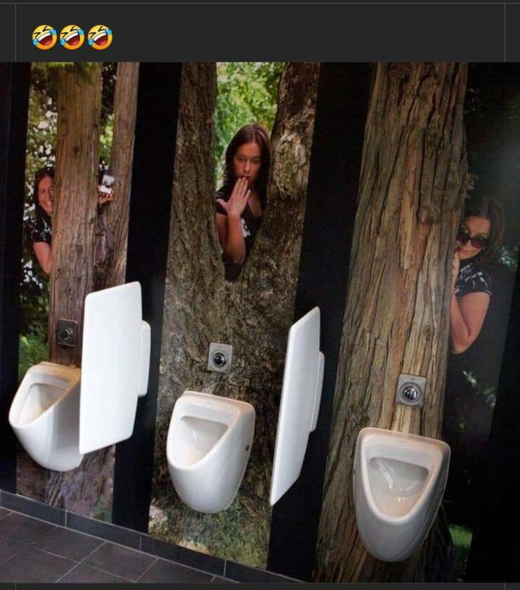 Daily Pictures. Part 2 (66 pics)