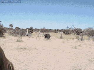 Acid GIFs, July 6 (25 gifs)