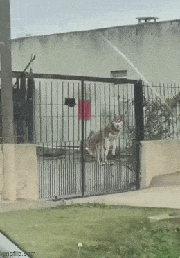 Acid GIFs, July 6 (25 gifs)