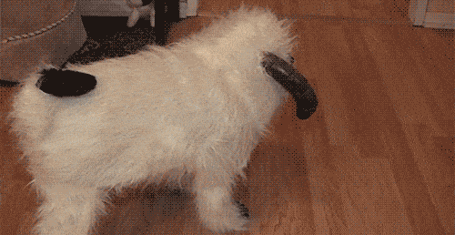 Acid GIFs, July 6 (25 gifs)
