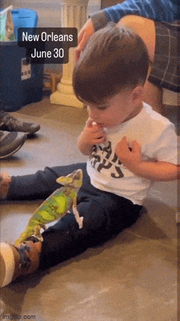 Acid GIFs, July 6 (25 gifs)
