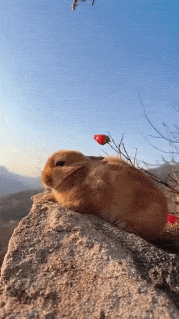 Acid GIFs, July 6 (25 gifs)
