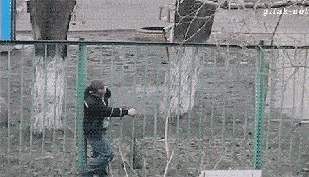 Acid GIFs, July 6 (25 gifs)