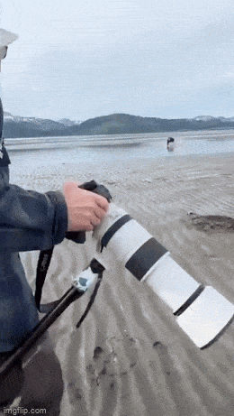 Acid GIFs, July 6 (25 gifs)