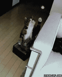 Acid GIFs, July 6 (25 gifs)