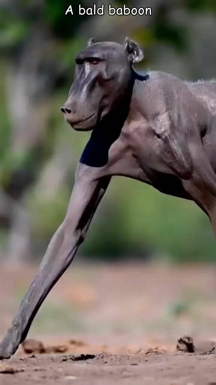 Daily Pictures. Part 2 (75 pics)